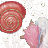 Shimmering Shells IV by James Wiens. SKU 72589a. Archival Giclee Fine art print for wall decor.