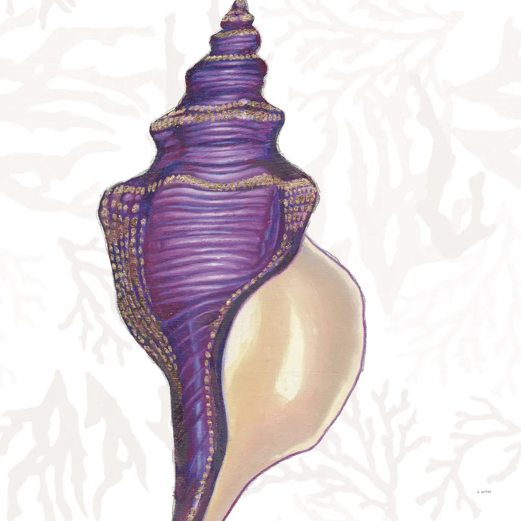 Shimmering Shells IX by James Wiens. SKU 72594a. Archival Giclee Fine art print for wall decor.