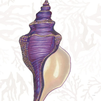 Shimmering Shells IX by James Wiens. SKU 72594a. Archival Giclee Fine art print for wall decor.