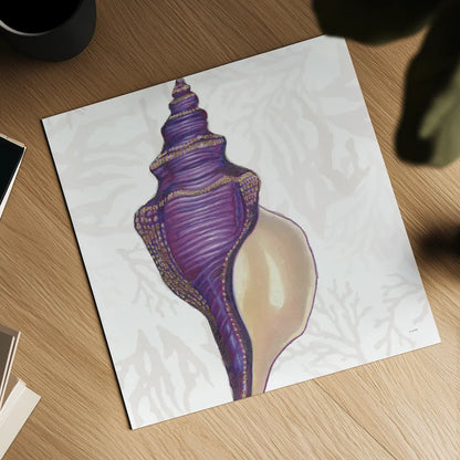 Shimmering Shells IX by James Wiens. Shown as a detailed flat fine art print, highlighting archival giclee quality. Available as an archival giclee rolled canvas, fine art paper, or poster print. SKU 72594a.