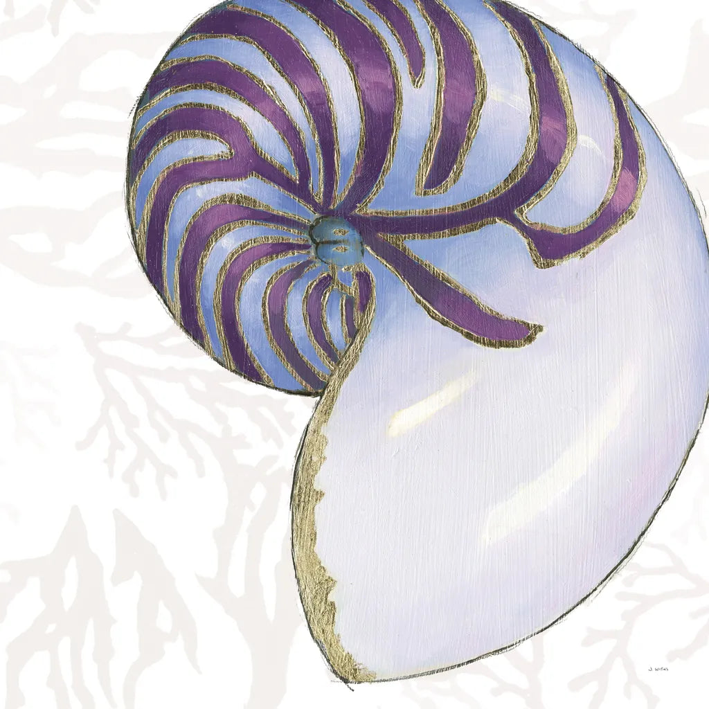 Shimmering Shells VI by James Wiens. SKU 72591a. Archival Giclee Fine art print for wall decor.