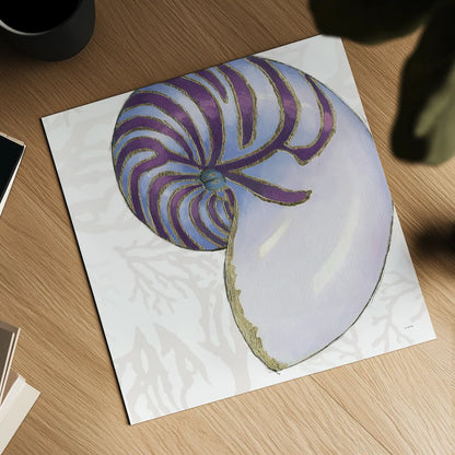 Shimmering Shells VI by James Wiens. Shown as a detailed flat fine art print, highlighting archival giclee quality. Available as an archival giclee rolled canvas, fine art paper, or poster print. SKU 72591a.