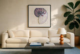 Shimmering Shells VI by James Wiens. Displayed in a glass frame with matte in a clean modern living room. Available as an archival giclee rolled canvas, fine art paper, or poster print. SKU 72591a.