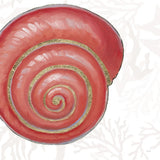 Shimmering Shells VII by James Wiens. SKU 72592a. Archival Giclee Fine art print for wall decor.