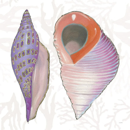 Shimmering Shells X by James Wiens. SKU 72595a. Archival Giclee Fine art print for wall decor.