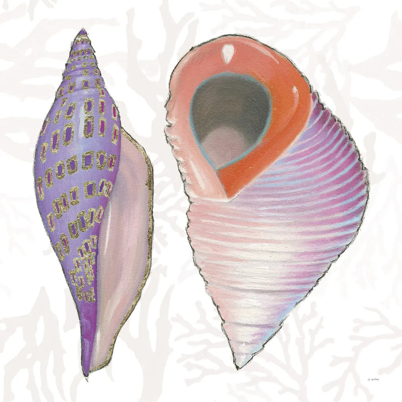 Shimmering Shells X by James Wiens. SKU 72595a. Archival Giclee Fine art print for wall decor.