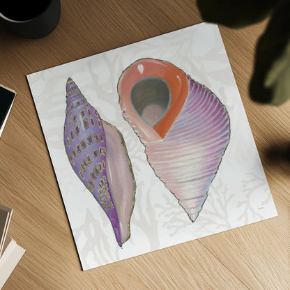 Shimmering Shells X by James Wiens. Shown as a detailed flat fine art print, highlighting archival giclee quality. Available as an archival giclee rolled canvas, fine art paper, or poster print. SKU 72595a.
