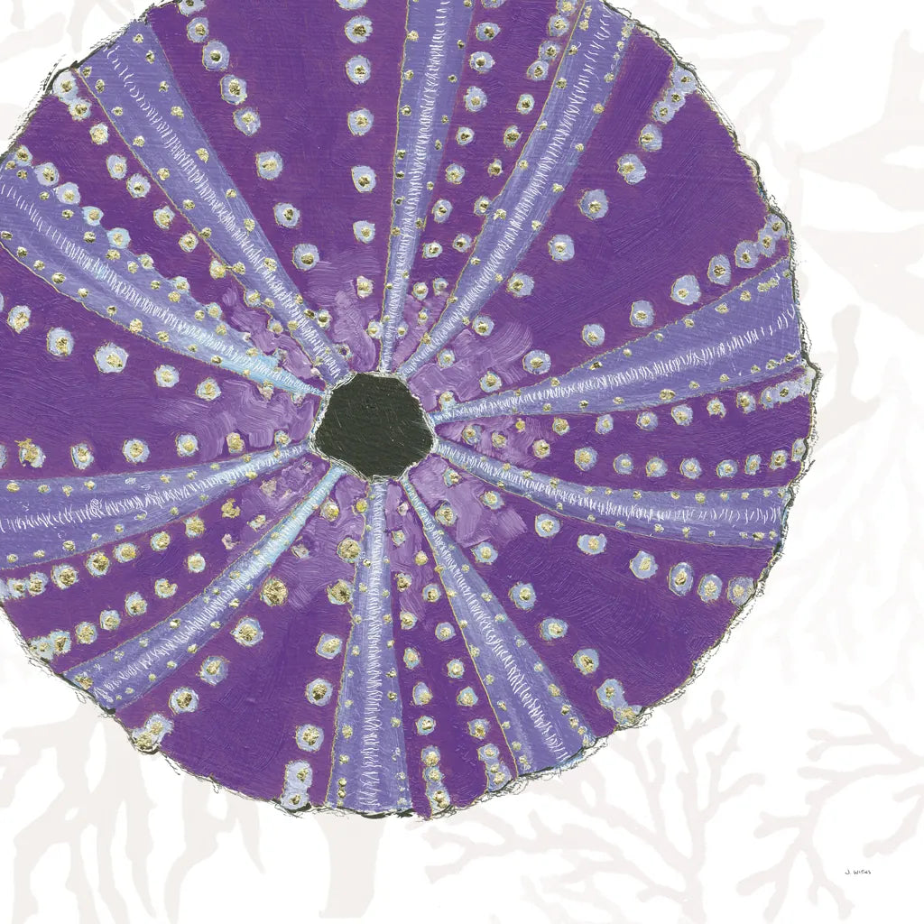 Shimmering Shells XIV by James Wiens. SKU 72599a. Archival Giclee Fine art print for wall decor.