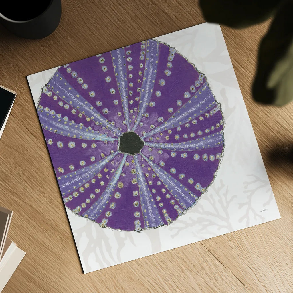 Shimmering Shells XIV by James Wiens. Shown as a detailed flat fine art print, highlighting archival giclee quality. Available as an archival giclee rolled canvas, fine art paper, or poster print. SKU 72599a.