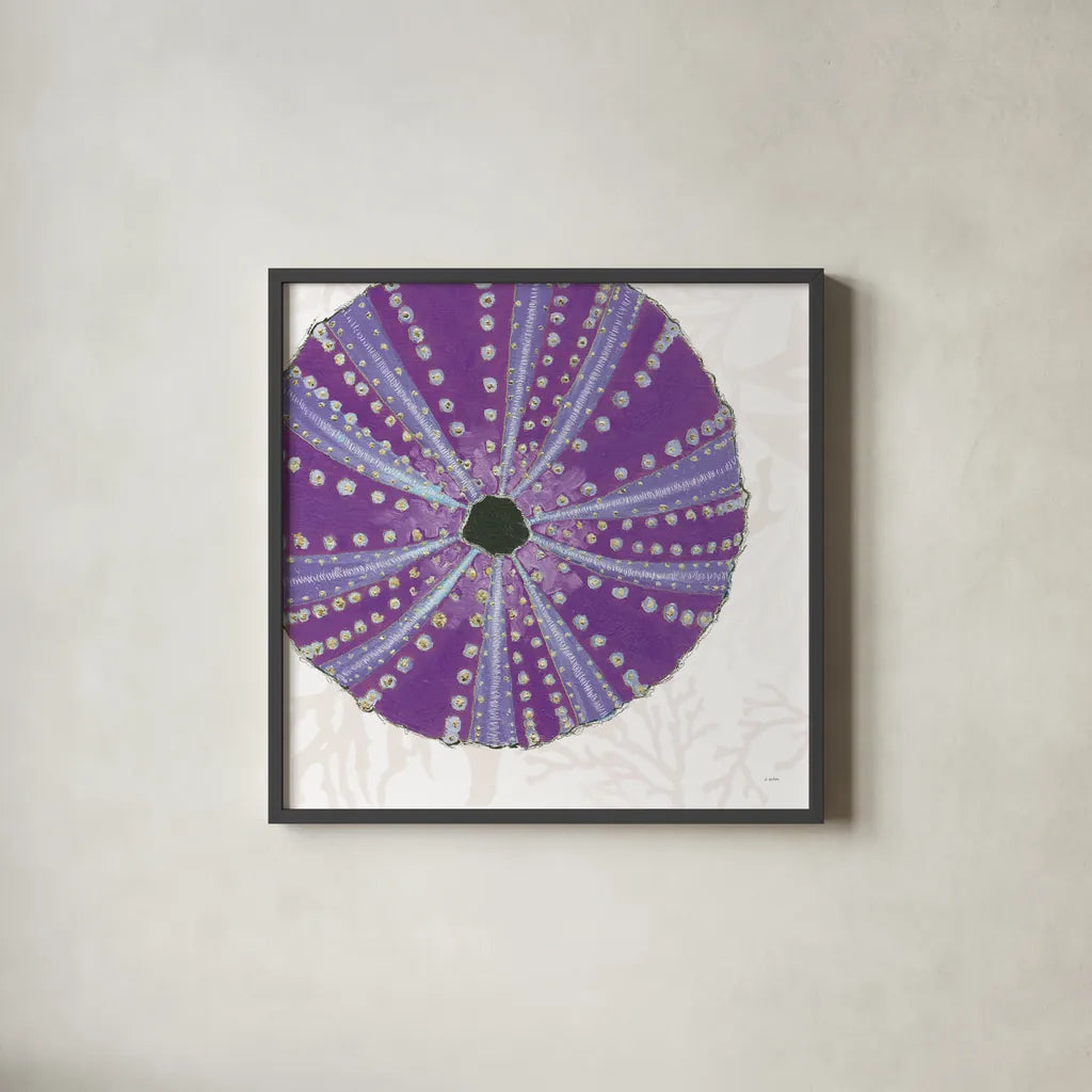 Shimmering Shells XIV by James Wiens. Shown in a sleek black glass frame for a contemporary gallery look. Available as an archival giclee rolled canvas, fine art paper, or poster print. SKU 72599a.