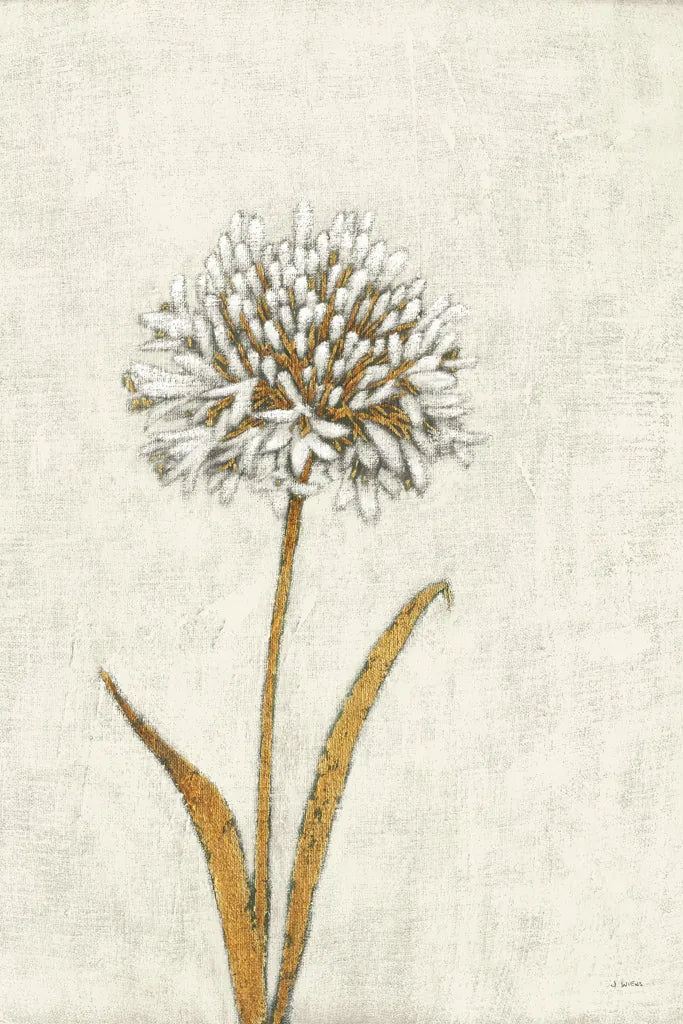 Shimmering Summer I Ivory by James Wiens. SKU 51563h. Archival Giclee Fine art print for wall decor.