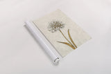 Shimmering Summer I Ivory by James Wiens. shown as a rolled paper print. Available as archival giclee rolled canvas, fine art paper, or poster print. SKU 51563h.