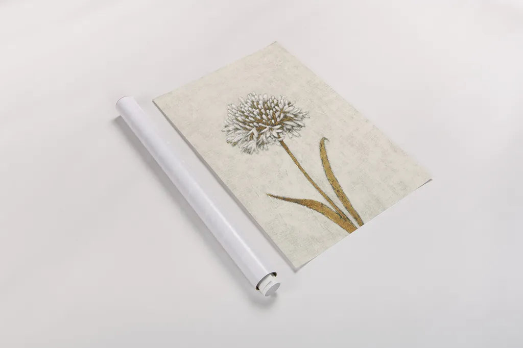 Shimmering Summer I Ivory by James Wiens. shown as a rolled paper print. Available as archival giclee rolled canvas, fine art paper, or poster print. SKU 51563h.