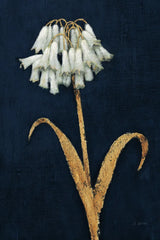 Shimmering Summer II Indigo Crop by James Wiens. SKU 52070h. Archival Giclee Fine art print for wall decor.