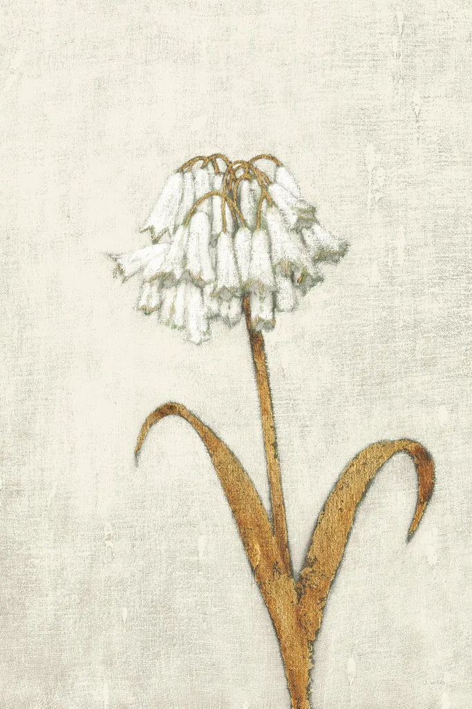 Shimmering Summer II Ivory by James Wiens. SKU 51564h. Archival Giclee Fine art print for wall decor.