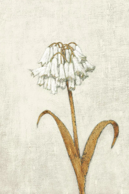 Shimmering Summer II Ivory by James Wiens. SKU 51564h. Archival Giclee Fine art print for wall decor.