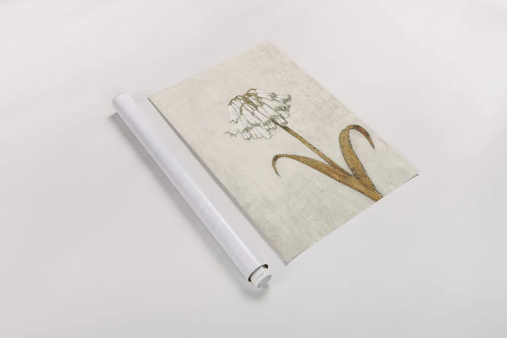 Shimmering Summer II Ivory by James Wiens. shown as a rolled paper print. Available as archival giclee rolled canvas, fine art paper, or poster print. SKU 51564h.