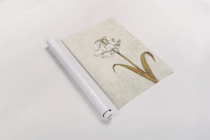 Shimmering Summer II Ivory by James Wiens. shown as a rolled paper print. Available as archival giclee rolled canvas, fine art paper, or poster print. SKU 51564h.