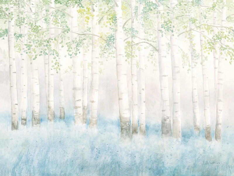 Soft Birches by James Wiens