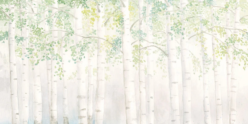 Soft Birches Crop by James Wiens