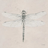 Soft Summer Sketches VI by James Wiens. SKU 45696a. Archival Giclee Fine art print for wall decor.