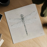 Soft Summer Sketches VI by James Wiens. Shown as a detailed flat fine art print, highlighting archival giclee quality. Available as an archival giclee rolled canvas, fine art paper, or poster print. SKU 45696a.