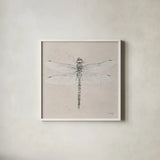 Soft Summer Sketches VI by James Wiens. Shown in a crisp white glass frame for a clean and minimalist style. Available as an archival giclee rolled canvas, fine art paper, or poster print. SKU 45696a.