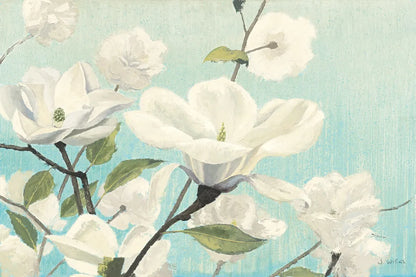 Southern Blossoms II by James Wiens. SKU 12254i. Archival Giclee Fine art print for wall decor.