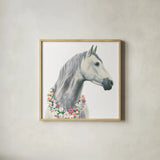 Spirit Stallion I Square by James Wiens. Shown in a natural wood glass frame for a timeless modern aesthetic. Available as an archival giclee rolled canvas, fine art paper, or poster print. SKU 30124a.