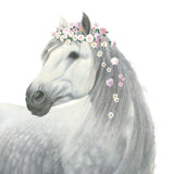 Spirit Stallion II Square by James Wiens. SKU 30125a. Archival Giclee Fine art print for wall decor.