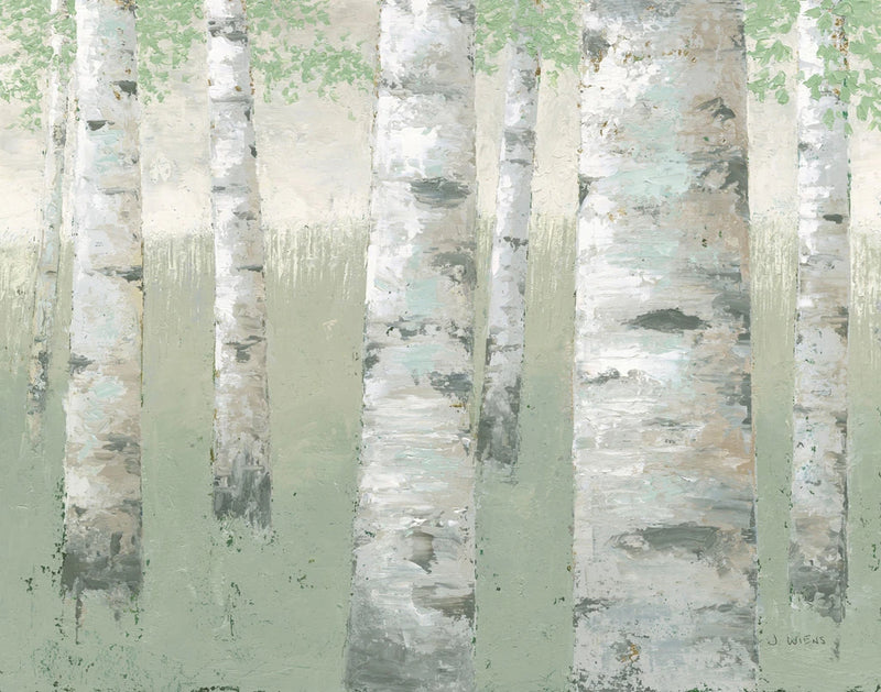 Spring Birch by James Wiens