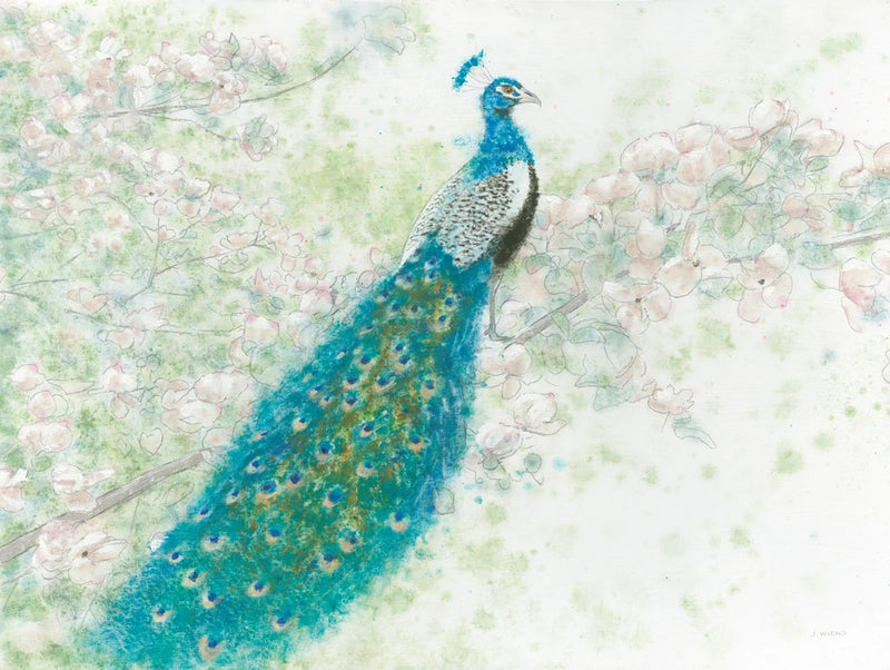 Spring Peacock I by James Wiens