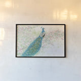 Spring Peacock I Pink Flowers by James Wiens. shown as a paper print in a black flame. Available as a archival giclee rolled canvas, fine art paper, or poster print. SKU 24335i.