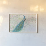 Spring Peacock I Pink Flowers by James Wiens. shown as a paper print in a white frame. Available as a archival giclee rolled canvas, fine art paper, or poster print. SKU 24335i.