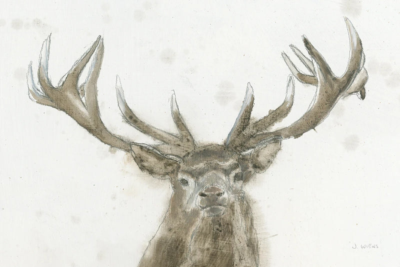 Stag Crop by James Wiens