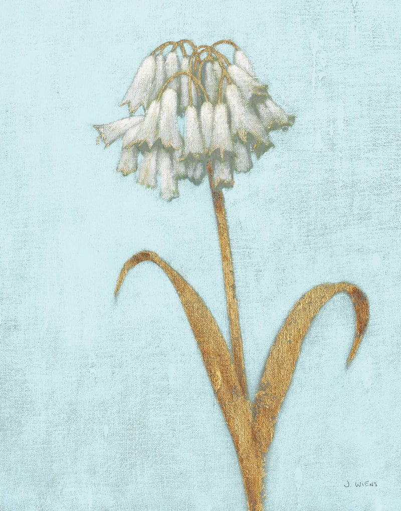 Summer II REB Crop by James Wiens
