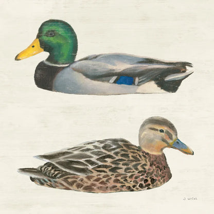 Waters Edge Ducks by James Wiens. SKU 96744a. Archival Giclee Fine art print for wall decor.