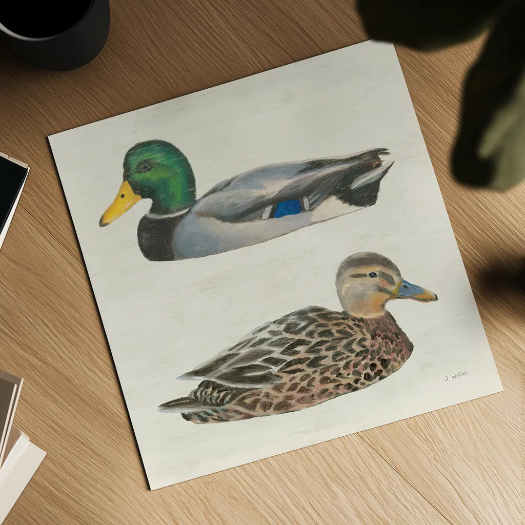 Waters Edge Ducks by James Wiens. Shown as a detailed flat fine art print, highlighting archival giclee quality. Available as an archival giclee rolled canvas, fine art paper, or poster print. SKU 96744a.