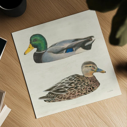 Waters Edge Ducks by James Wiens. Shown as a detailed flat fine art print, highlighting archival giclee quality. Available as an archival giclee rolled canvas, fine art paper, or poster print. SKU 96744a.