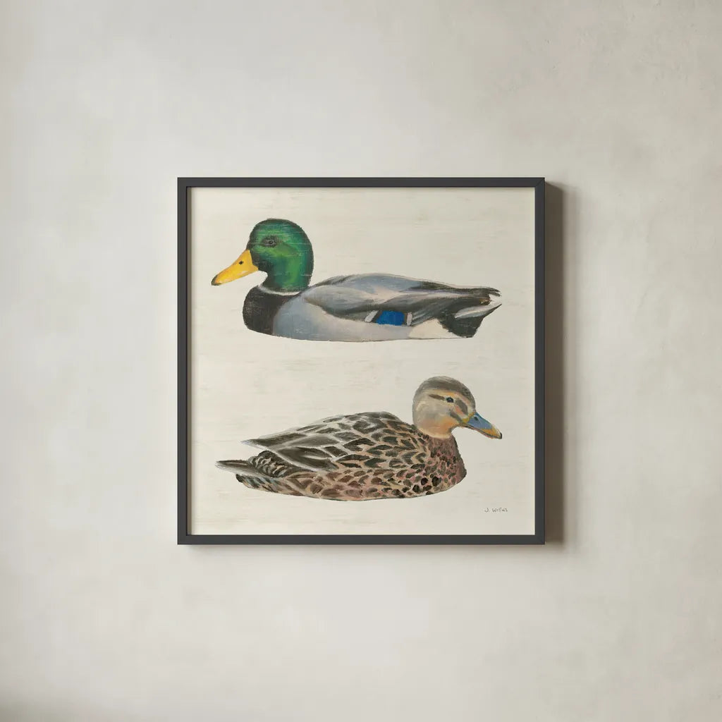 Waters Edge Ducks by James Wiens. Shown in a sleek black glass frame for a contemporary gallery look. Available as an archival giclee rolled canvas, fine art paper, or poster print. SKU 96744a.