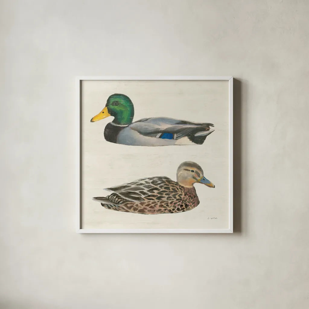 Waters Edge Ducks by James Wiens. Shown in a crisp white glass frame for a clean and minimalist style. Available as an archival giclee rolled canvas, fine art paper, or poster print. SKU 96744a.