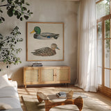 Waters Edge Ducks by James Wiens. Shown in a natural wood frame in a cozy modern living room. Available as an archival giclee rolled canvas, fine art paper, or poster print. SKU 96744a.