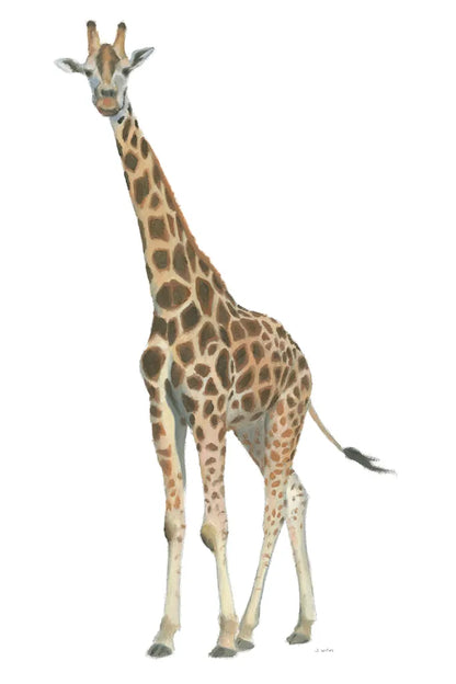 Wild and Free V by James Wiens. SKU 66115h. Archival Giclee Fine art print for wall decor.