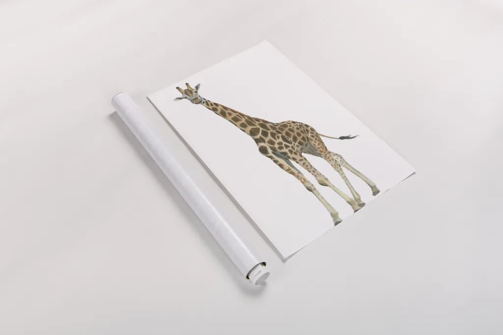 Wild and Free V by James Wiens. shown as a rolled paper print. Available as archival giclee rolled canvas, fine art paper, or poster print. SKU 66115h.