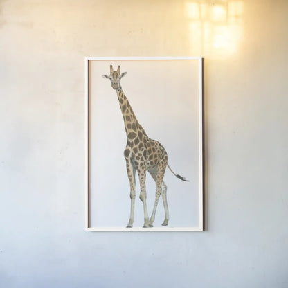 Wild and Free V by James Wiens. shown as a paper print in a white frame. Available as a archival giclee rolled canvas, fine art paper, or poster print. SKU 66115h.