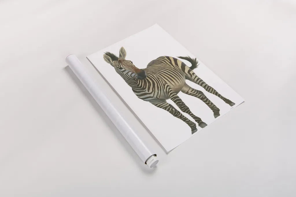 Wild and Free VI by James Wiens. shown as a rolled paper print. Available as archival giclee rolled canvas, fine art paper, or poster print. SKU 66141h.