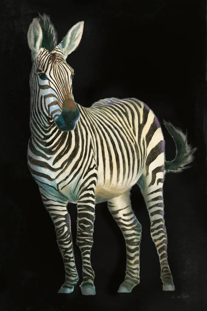 Wild and Free VI Black by James Wiens. SKU 69079h. Archival Giclee Fine art print for wall decor.