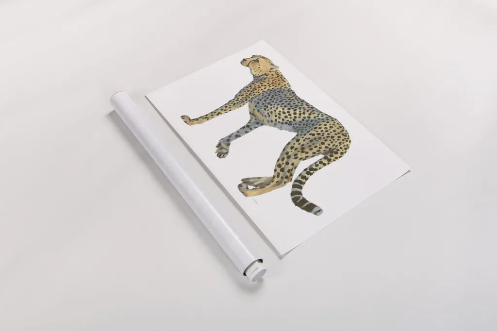 Wild and Free VII by James Wiens. shown as a rolled paper print. Available as archival giclee rolled canvas, fine art paper, or poster print. SKU 66142i.