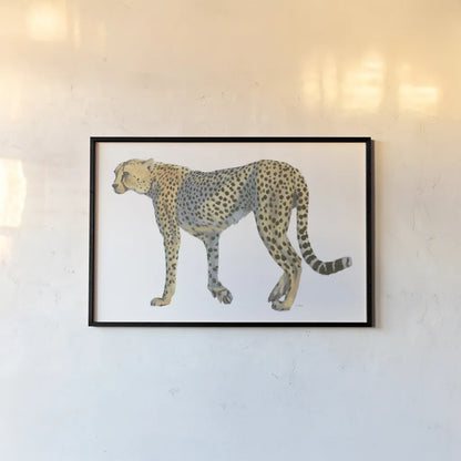 Wild and Free VII by James Wiens. shown as a paper print in a black flame. Available as a archival giclee rolled canvas, fine art paper, or poster print. SKU 66142i.