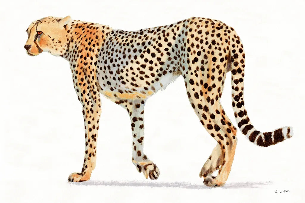 Wild and Free VII Bold by James Wiens. SKU 69078i. Archival Giclee Fine art print for wall decor.